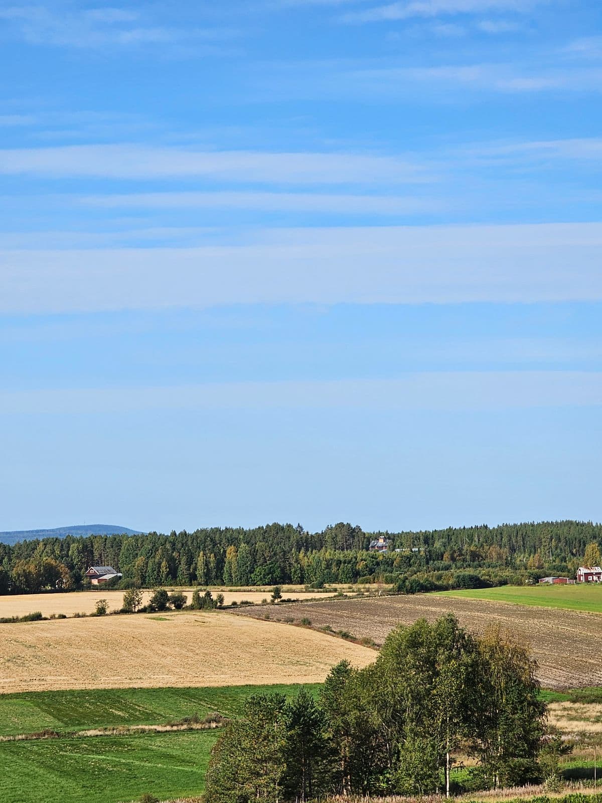 Campo y chacras en zona rural (foto ilustrativa)